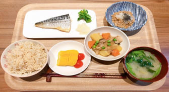 季節の花で彩る初心者向けガーデニングアイデア